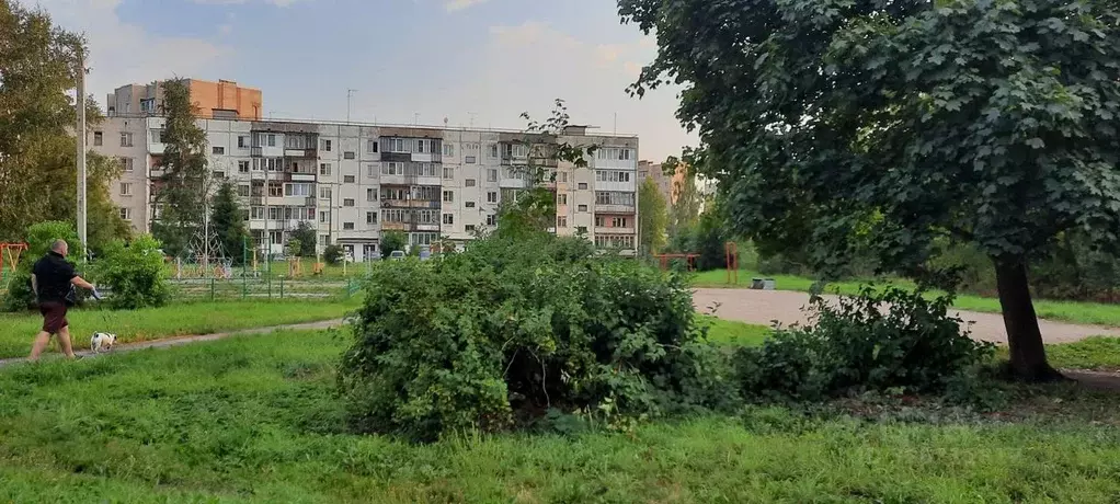 3-к кв. Ленинградская область, Отрадное Кировский район, ул. Дружбы, ... - Фото 2