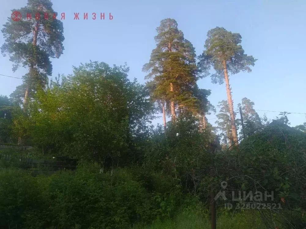 Дом в Самарская область, Самара Железнодорожник-Задельное СДНТ,  (50 ... - Фото 2