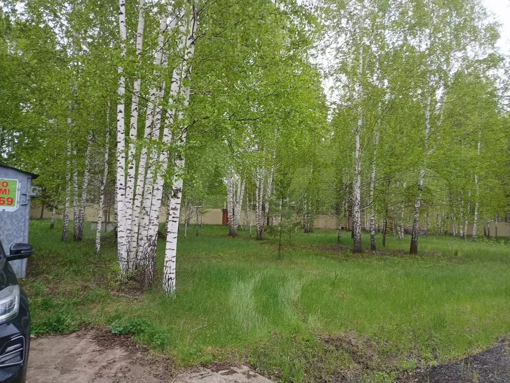 Участок 12 сот. (СНТ, ДНП) - Фото 1