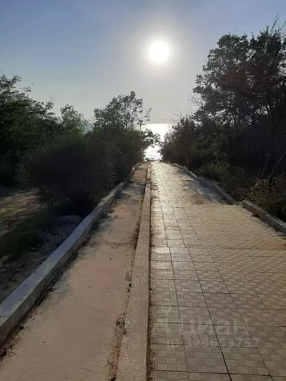Дом в Севастополь с. Андреевка, ул. Усадебная, 38 (30 м) - Фото 1