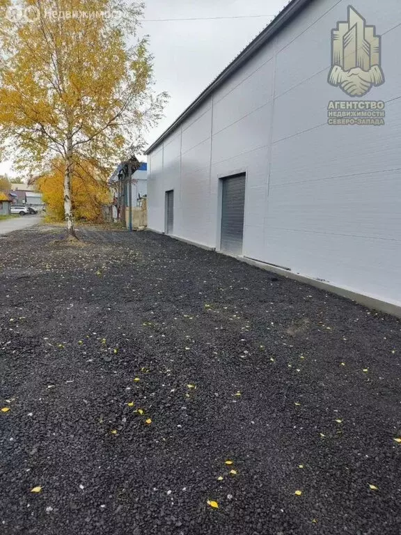 Склад (360 м) - Фото 2