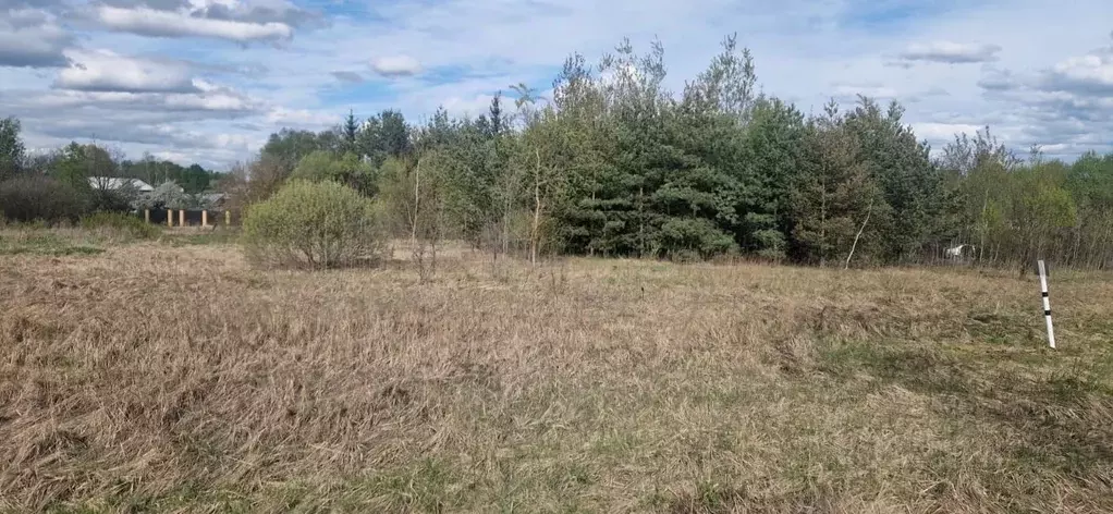 Участок в Московская область, Домодедово городской округ, д. Ртищево  ... - Фото 0