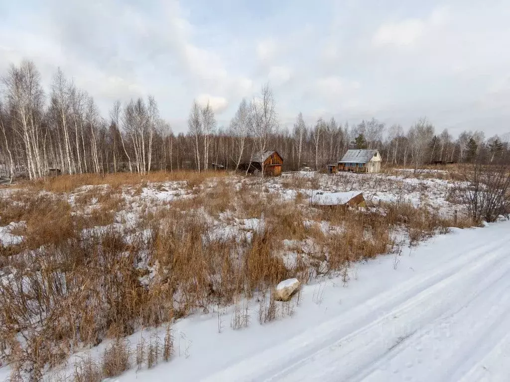 Участок в Тюменская область, Нижнетавдинский район, Лесная сказка СНТ  ... - Фото 0