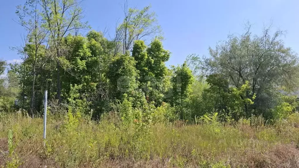 Участок в Саратовская область, Саратов проезд 4-й Назаровский (6.0 ... - Фото 2