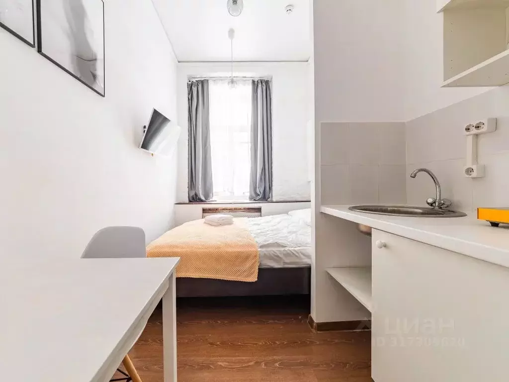 Студия Санкт-Петербург Коломенская ул., 10 (25.0 м) - Фото 1