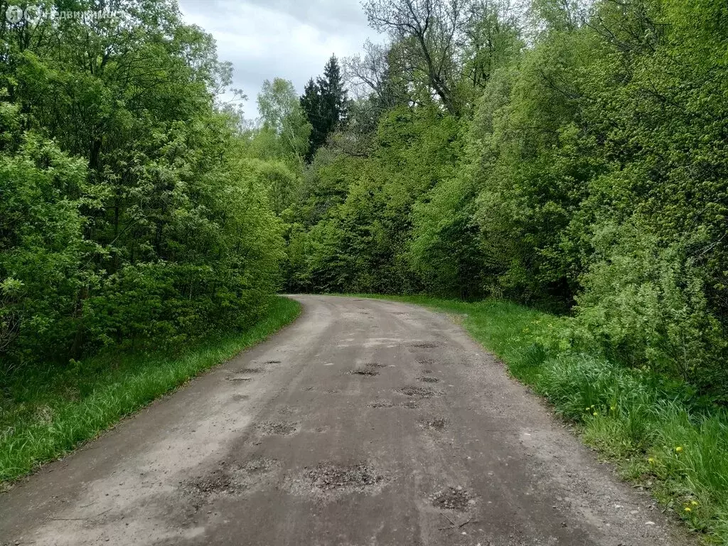 Участок в Московская область, городской округ Чехов, деревня Васино ... - Фото 0