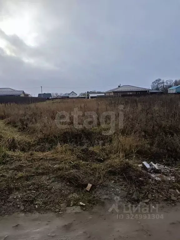 Участок в Ярославская область, Ярославский муниципальный округ, с. ... - Фото 2