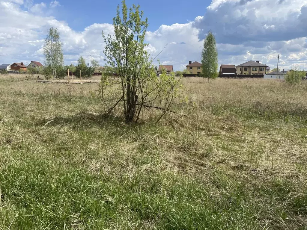 Участок в Московская область, Орехово-Зуевский городской округ, д. ... - Фото 1