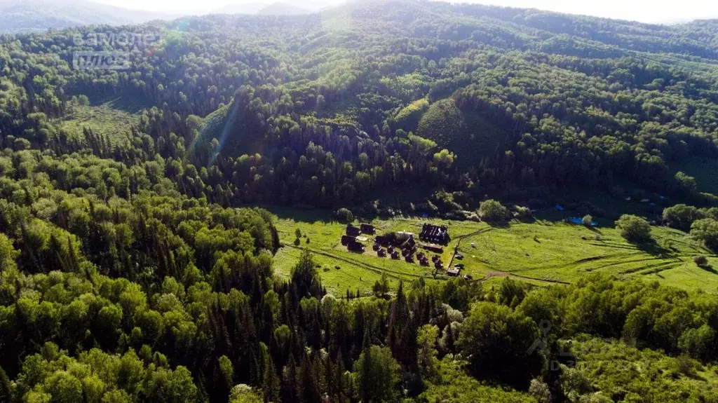 Помещение свободного назначения в Алтайский край, Курьинский район, ... - Фото 0