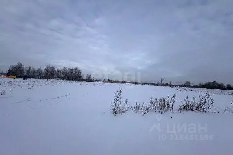 Участок в Амурская область, Благовещенский район, с. Усть-Ивановка  ... - Фото 0