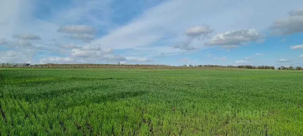 Участок в Краснодарский край, Анапа муниципальный округ, Иванов хут. ... - Фото 2