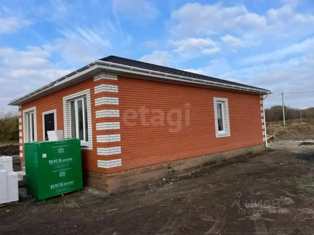 Дом в Ростовская область, Неклиновский район, с. Новобессергеневка ул. ... - Фото 2