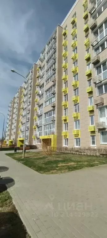 1-к кв. Самарская область, Тольятти ул. Владимира Высоцкого, 11 (34.73 ... - Фото 1