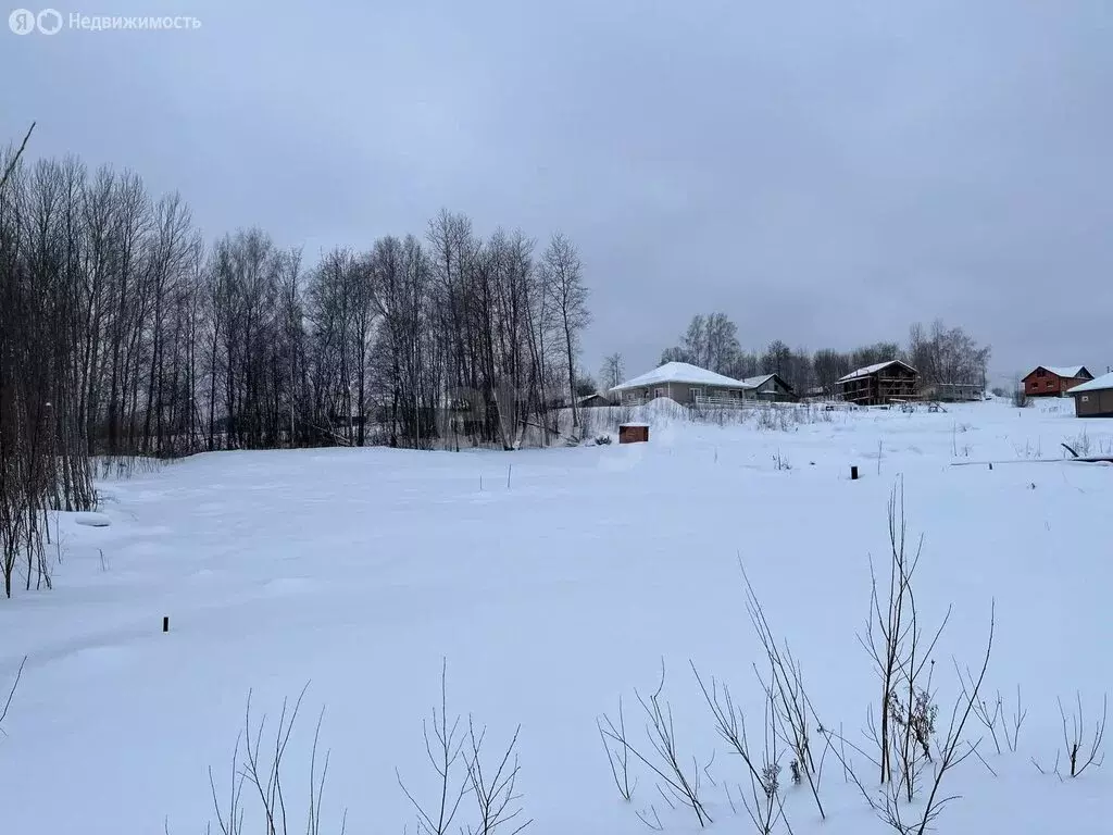 Участок в Вологодская область, Череповецкий муниципальный округ, ... - Фото 2