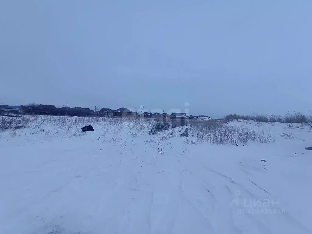 Участок в Оренбургская область, Оренбургский район, Южноуральский ... - Фото 2
