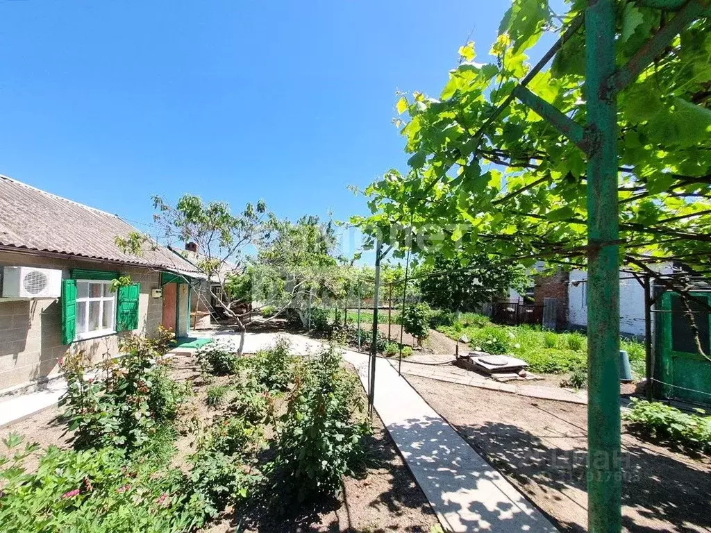 Дом в Краснодарский край, Приморско-Ахтарск ул. Чапаева (36 м) - Фото 1