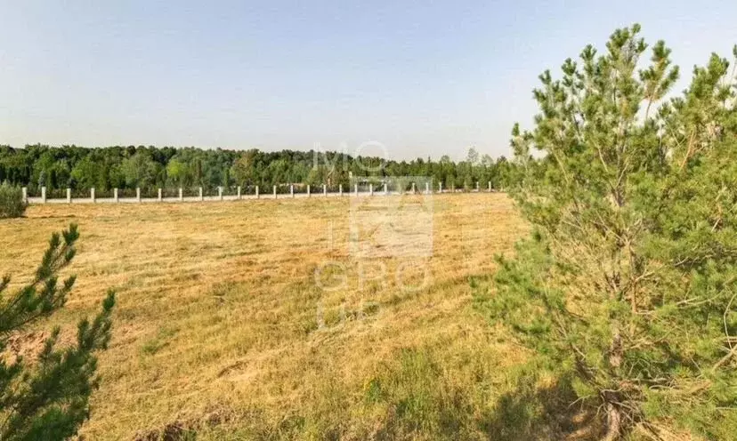 Участок 1,15га (ИЖС) - Фото 1