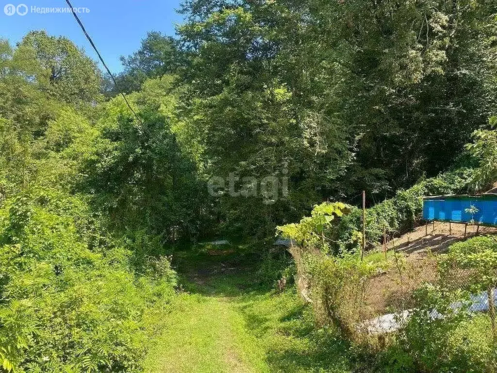 Участок в Краснодарский край, городской округ Сочи, село Татьяновка, ... - Фото 1
