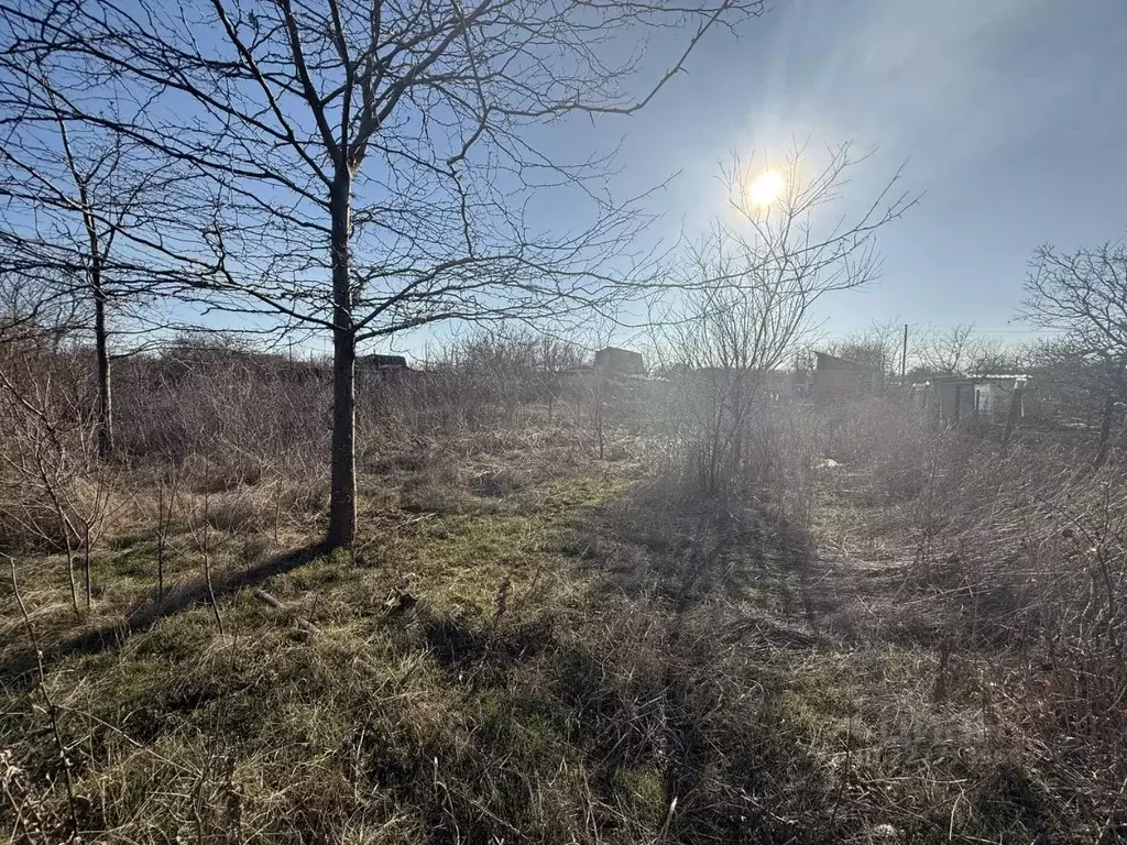 Участок в Ростовская область, Таганрог Тополь садовое товарищество, ... - Фото 1