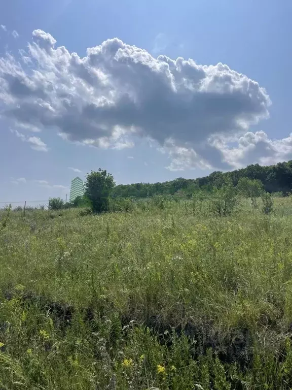 Участок в Саратовская область, Соколовый рп ул. Веселая (13.7 сот.) - Фото 1