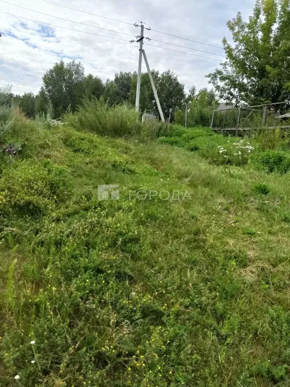 Участок в Алтайский край, Первомайский район, с. Зудилово ул. 2-я ... - Фото 1