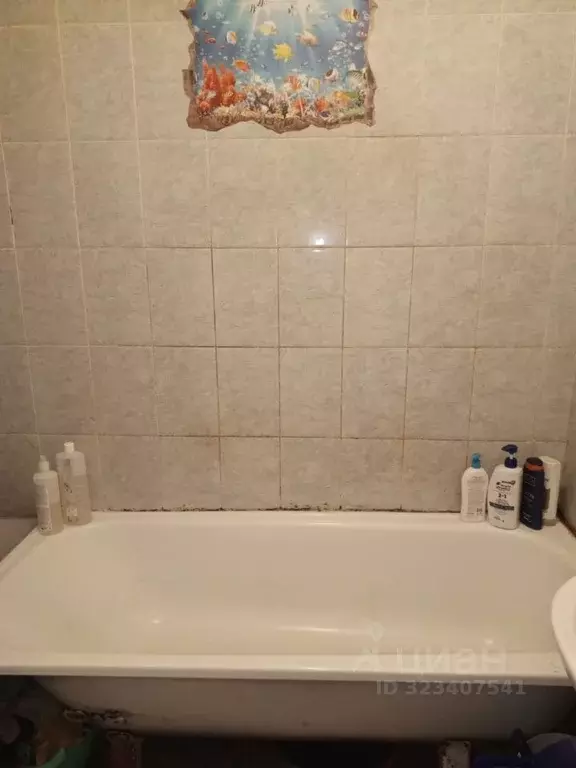 1-к кв. Курская область, Советский район, Кшенский рп  (36.3 м) - Фото 2