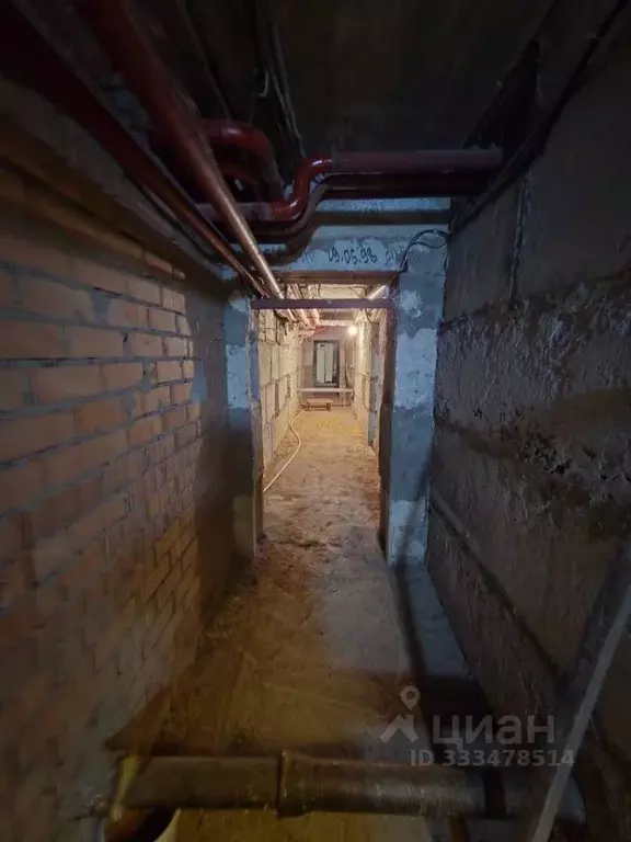 Помещение свободного назначения в Челябинская область, Челябинск Южная ... - Фото 2