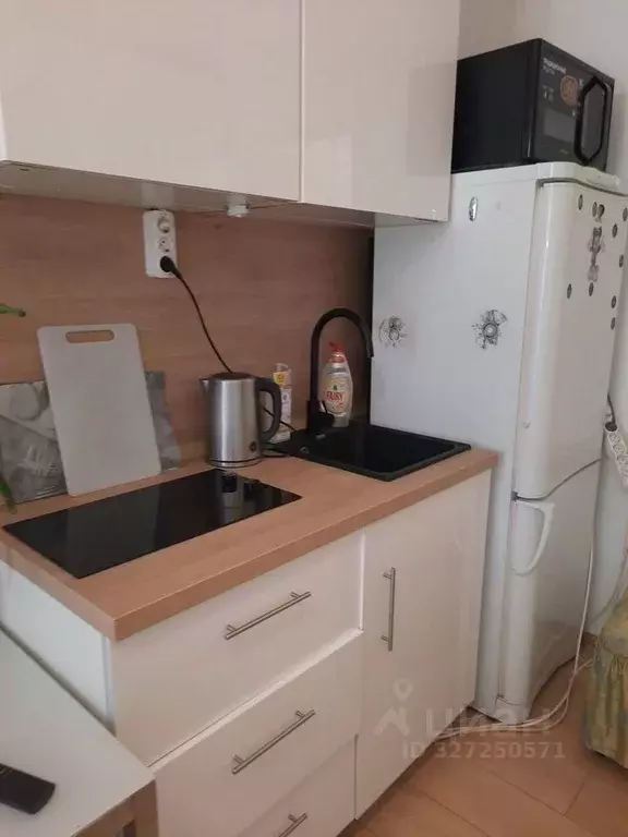 Студия Москва Козицкий пер., 1А (20.0 м) - Фото 1