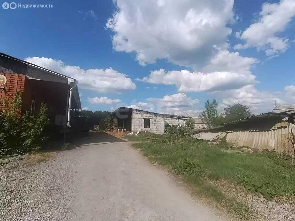 Дом в Белгородская область, Новооскольский муниципальный округ, село ... - Фото 2