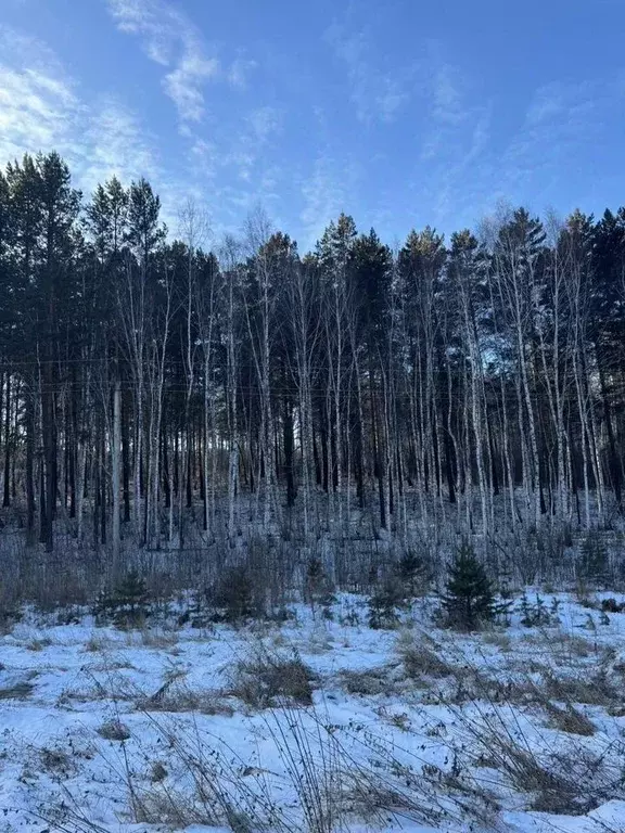 Участок в Иркутская область, Иркутский муниципальный округ, Славное ... - Фото 2