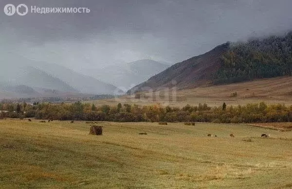 Участок в Онгудайский район, Р-256 Чуйский тракт, 625-й километр (46 ... - Фото 1
