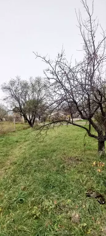 Участок в Крым, Феодосия городской округ, с. Солнечное ул. Персиковая ... - Фото 0