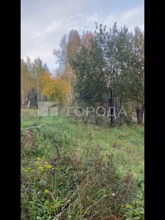 Участок 7,6 сот. (СНТ, ДНП) - Фото 1