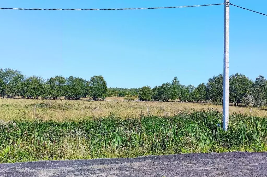 Участок в Ленинградская область, Всеволожский район, Романовское ... - Фото 0