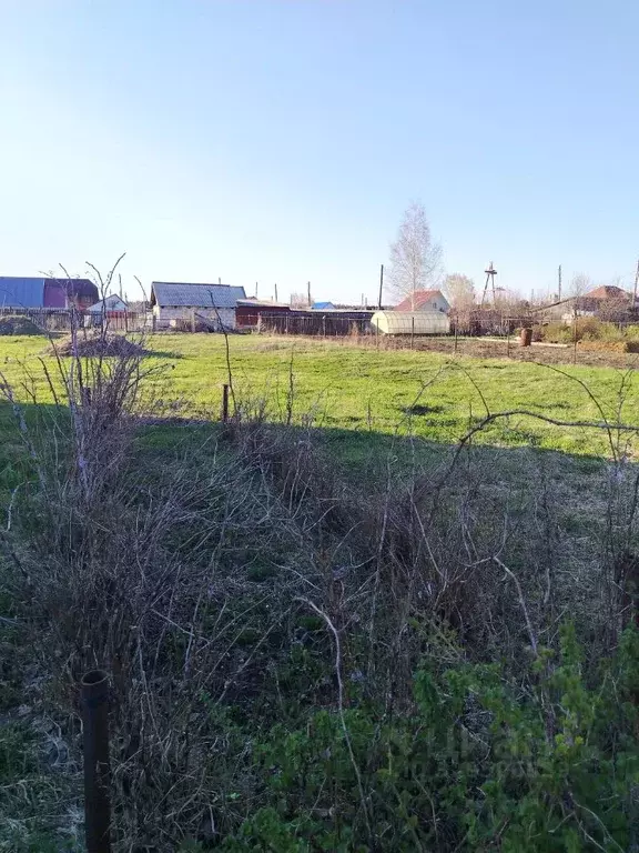 Участок в Алтайский край, Барнаул городской округ, пос. Черницк ул. ... - Фото 1