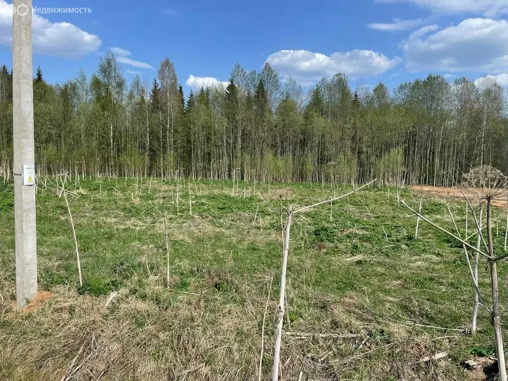 Участок в Республика Коми, муниципальный район Сыктывдинский, село ... - Фото 1