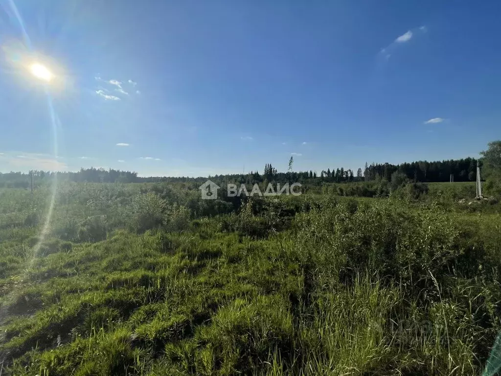 Участок в Московская область, Солнечногорск городской округ, Элитные ... - Фото 0