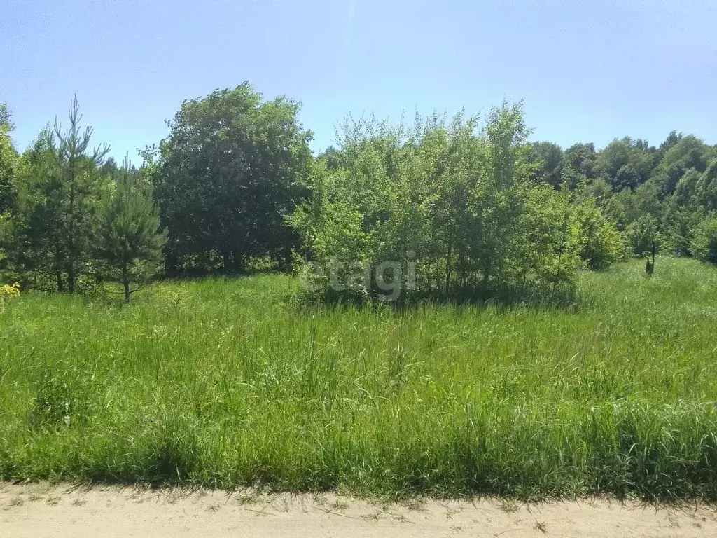 Участок в Брянская область, Брасовский район, Крупецкое с/пос, пос. ... - Фото 0