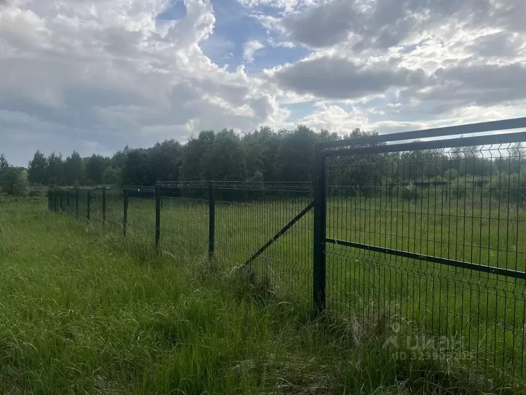 Участок в Московская область, Подольск городской округ, д. Кутьино ул. ... - Фото 2