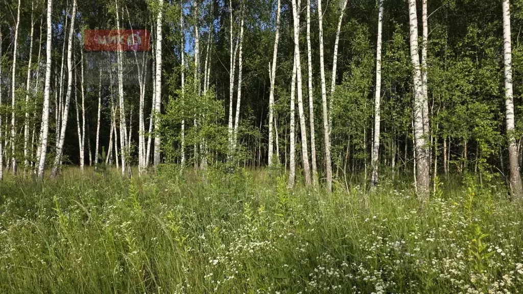 Участок в Рязанская область, Рязанский район, Дядьковское с/пос, д. ... - Фото 1