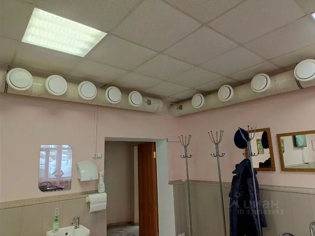 Помещение свободного назначения в Нижегородская область, Лысково ул. ... - Фото 2