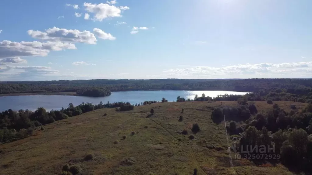 Участок в Карелия, Лахденпохский муниципальный округ, пос. Райвио  ... - Фото 2