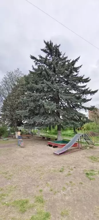 1-к кв. Карачаево-Черкесия, Черкесск ул. Свободы, 62Б (31.0 м) - Фото 1