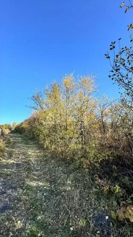 Участок в Пензенская область, Пенза пос. Дубрава,  (6.0 сот.) - Фото 0