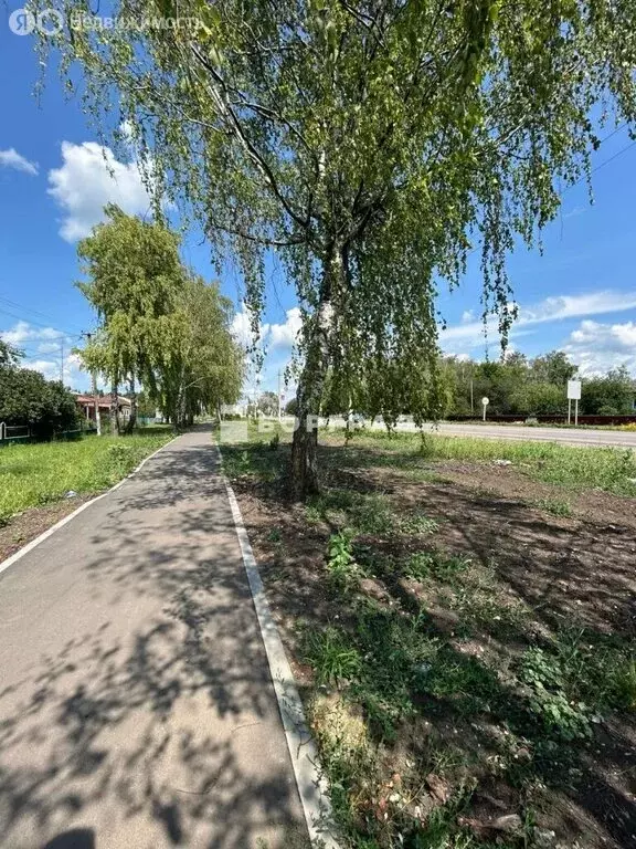 Участок в посёлок городского типа Грибановский, Советская улица, 298 ... - Фото 1