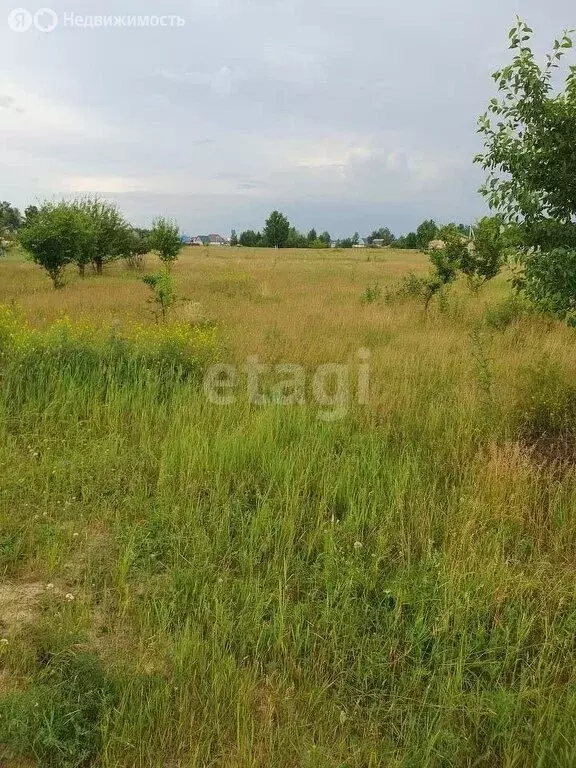 Участок в Колыванский район, СНТ Большая Семья (10.1 м) - Фото 0