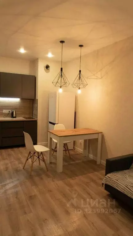 1-к кв. Нижегородская область, Нижний Новгород д. Анкудиновка, ул. ... - Фото 1