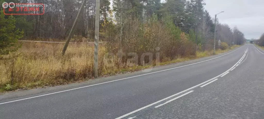 Участок в Прионежский район, Шуйское сельское поселение, станция ... - Фото 1