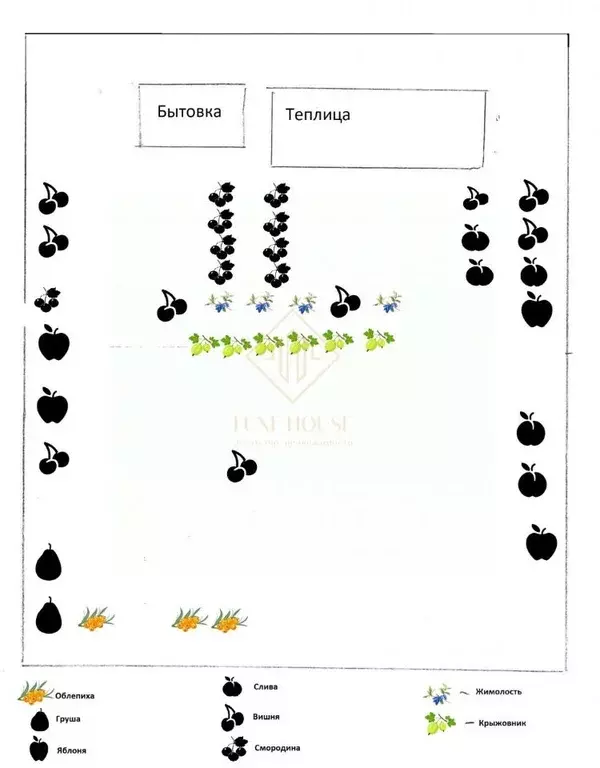 Участок в Иркутская область, Иркутский муниципальный округ, Горка СНТ ... - Фото 2