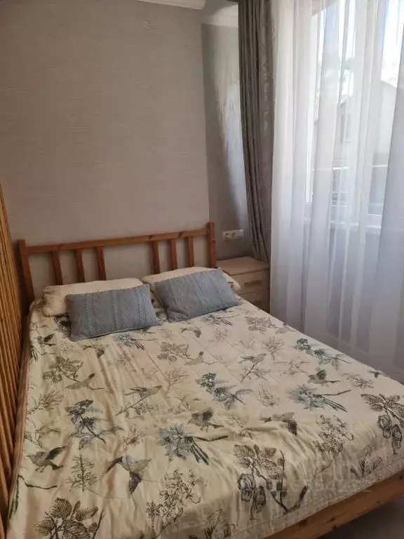 Студия Краснодарский край, Сочи Виноградная ул., 121/11 (30.0 м) - Фото 1